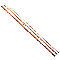 20キャスティズム